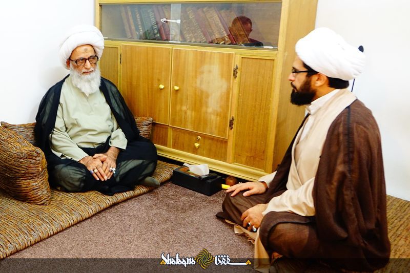 مکتب نجف/ حجت الاسلام شیخ علی نجفی: تنوع نجف اشرف، مهم و راهبردی است