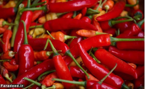 ۵ غذایی که به چربی سوزی کمک می‌کنند