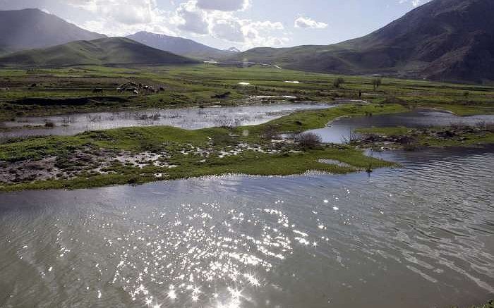 تالاب بیشه دالان